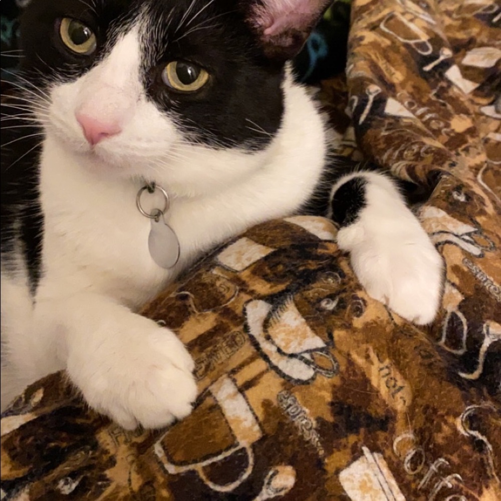 Meet your Posher, Jamie - Picture 4 of 4